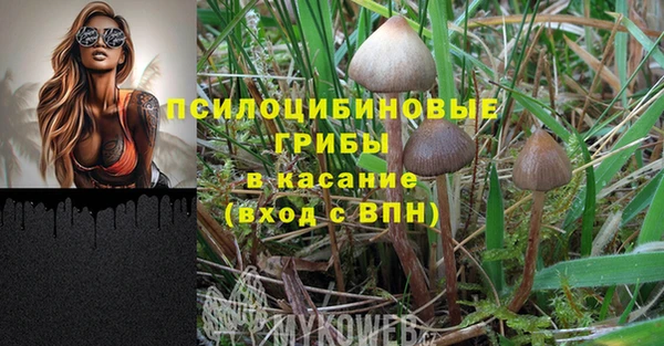 прущая мука Верея