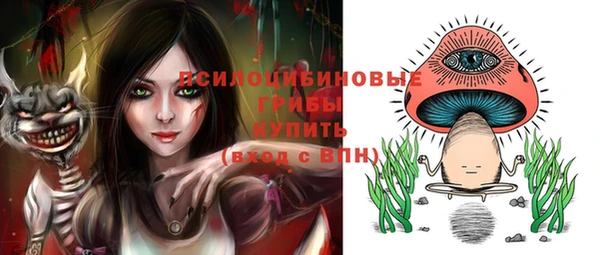 индика Верхнеуральск
