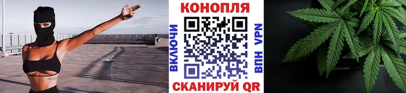 МАРИХУАНА сатива  Купить  Магас 